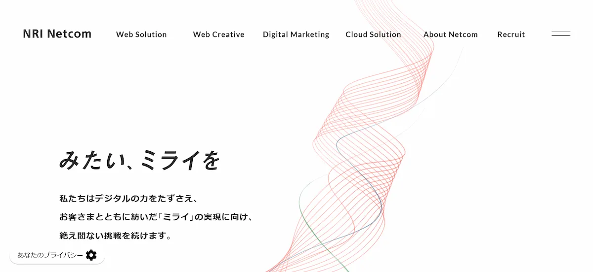 NRI Netcom