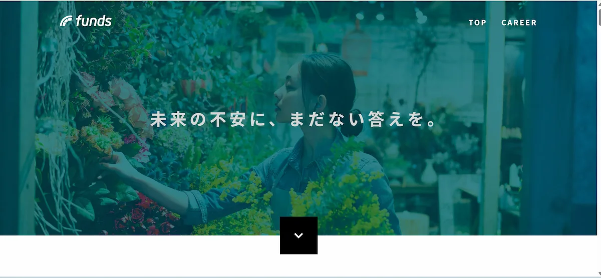 ファンズ株式会社