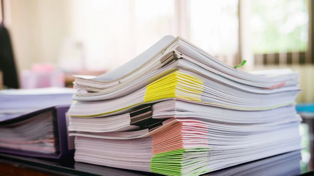 3. Specific Steps for Work Visa Application