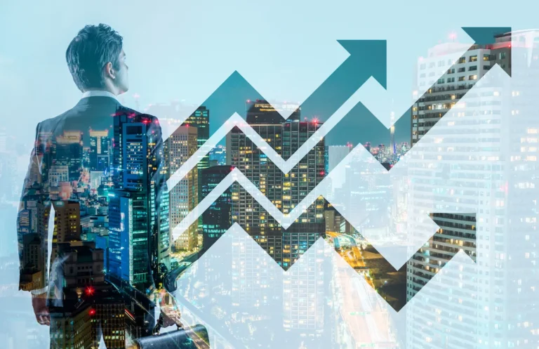 7. Programming Language Selection for Japan Market with Future Prospects