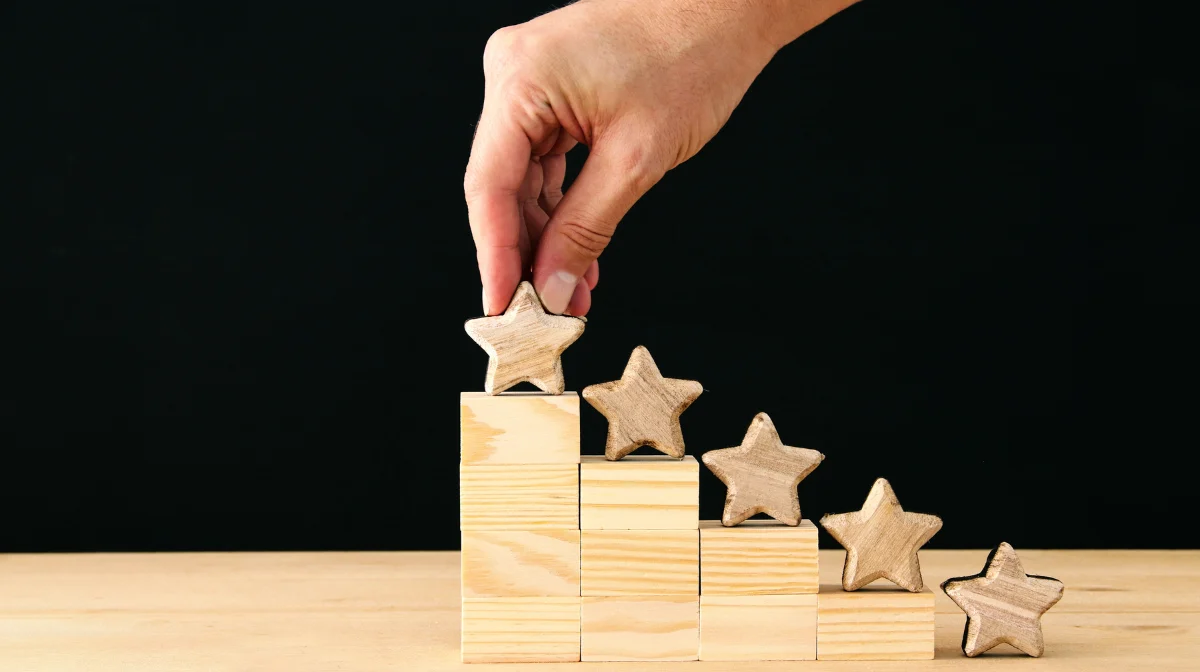 3. Types and Specialization Areas of Japanese Developers