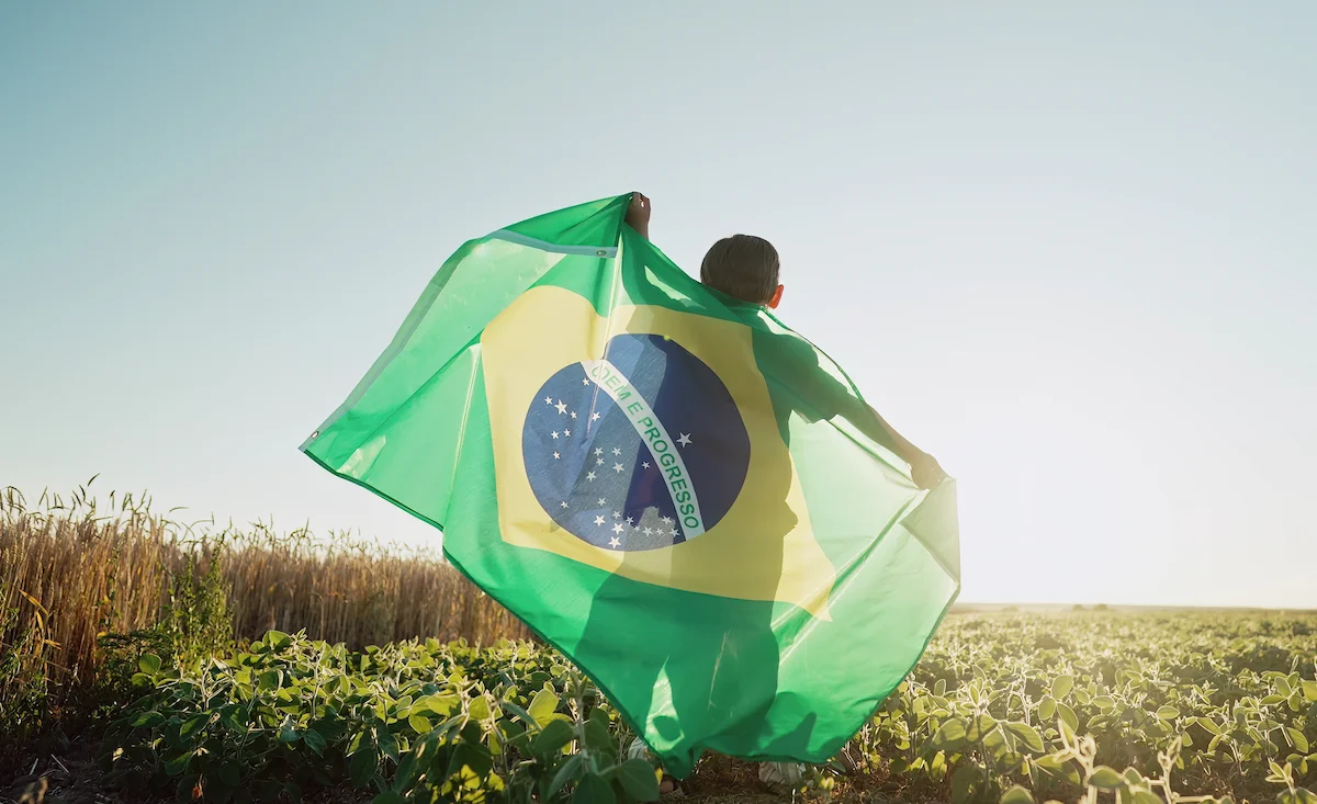 1.ブラジル人エンジニアが知っておきたい日本の就労ビザ基本情報