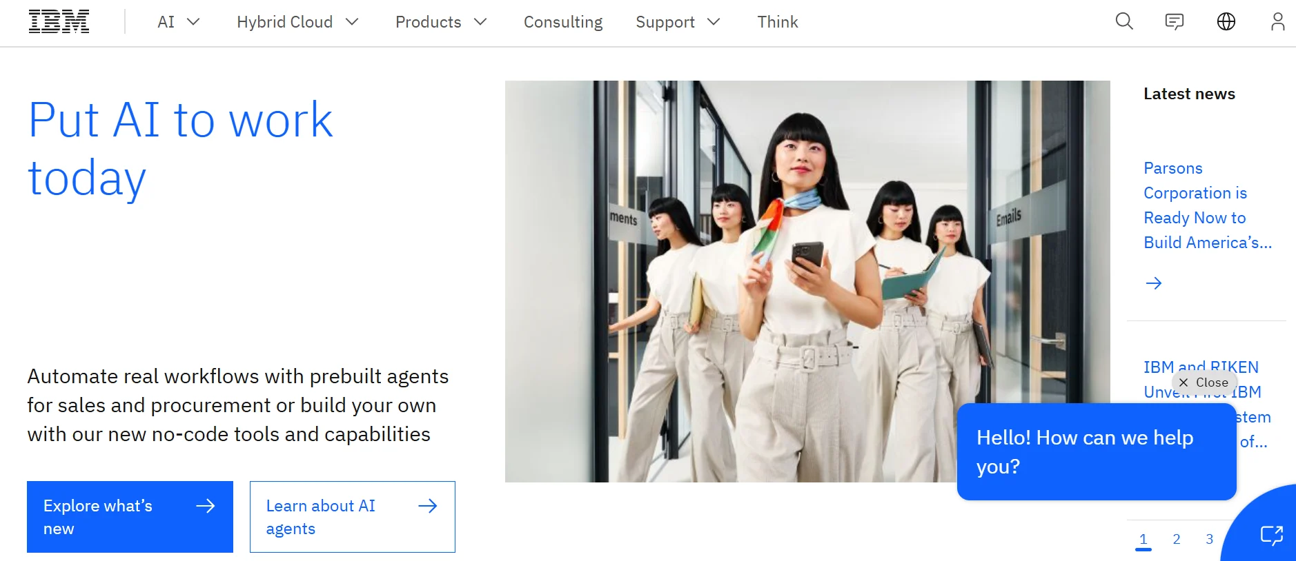 IBM Japan: Global Standard Flexible System