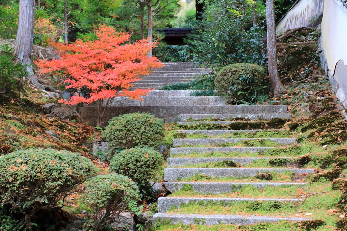 6. 侘び寂びを感じられる場所｜日本庭園・寺社・古民家の鑑賞ポイント
