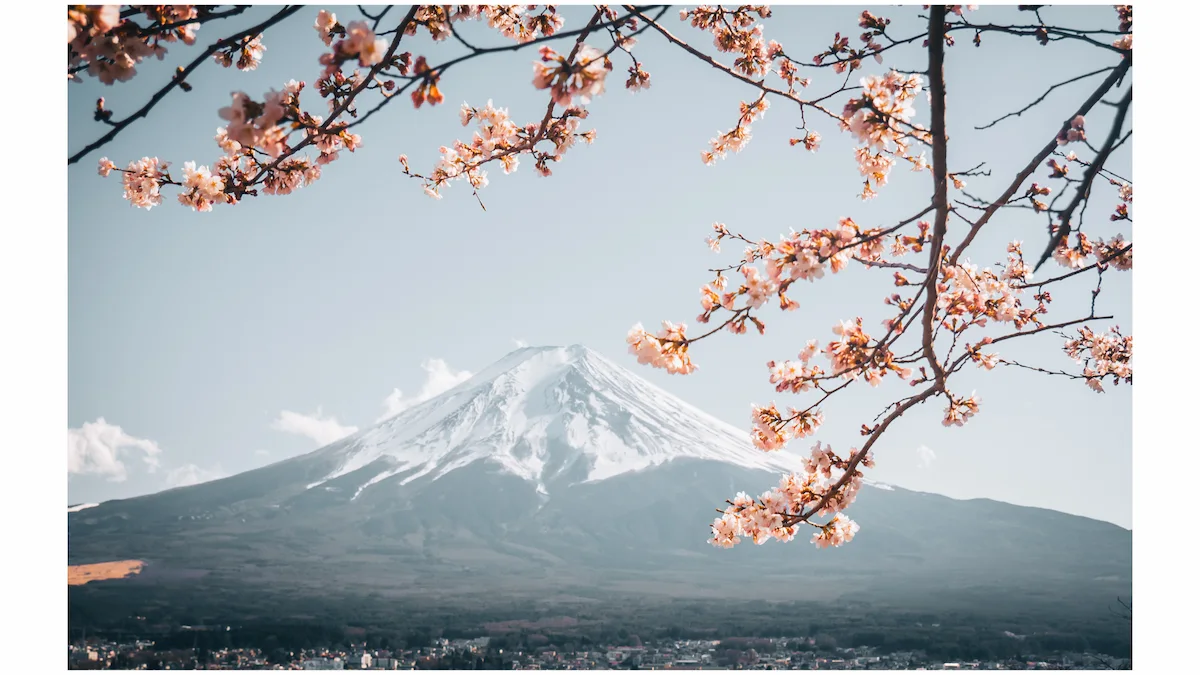 1. 日本の永住権とは何か──エンジニアにとってのメリット
