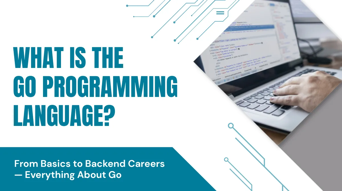 What Is the Go Programming Language?の画像